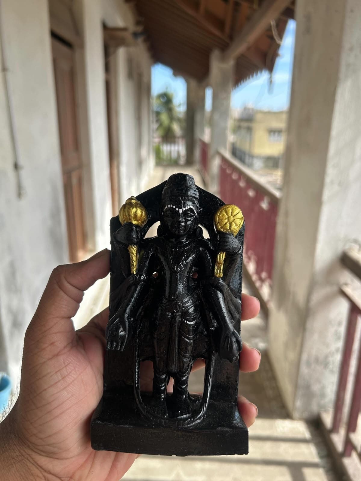 Dwarkadhis